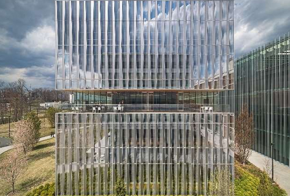 NOVARTIS OFFICE INTERIOR